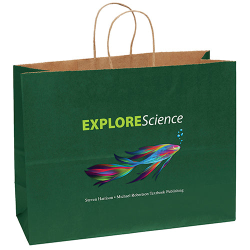 Wholesale Judy Paper Bag - 34P1612