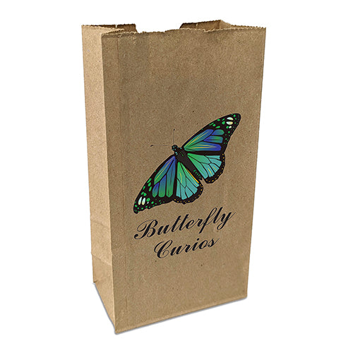 Wholesale Popcorn Paper Bag - CV3