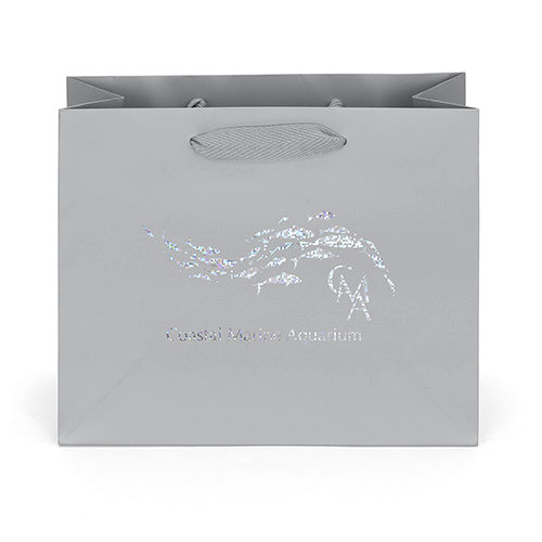 Wholesale Paris Paper Bag - 34ML108