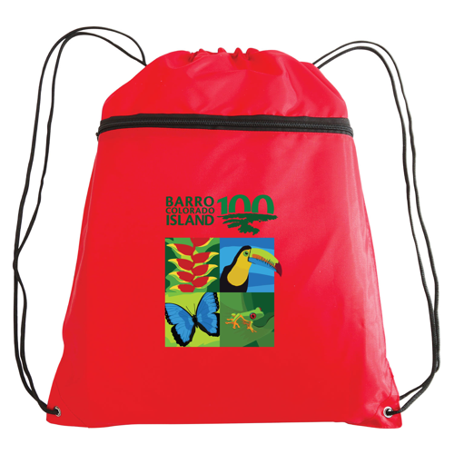 14" Polyester Drawstring Backpack with Front Pocket
