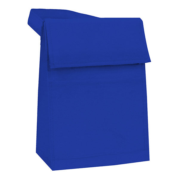 Eco-Friendly Non-Woven Lunch Pack with Thermal Foil Lining