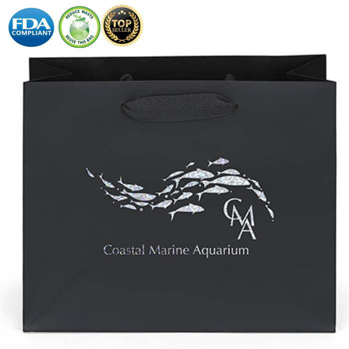 Wholesale Paris Paper Bag - 34ML108