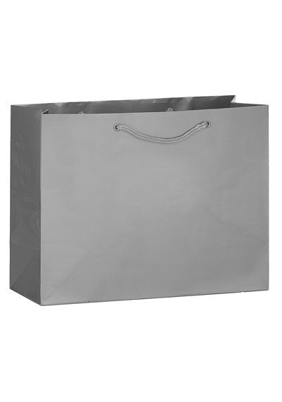 2ML13510-Blank-Bag-Platinum